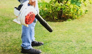 Leaf blowers